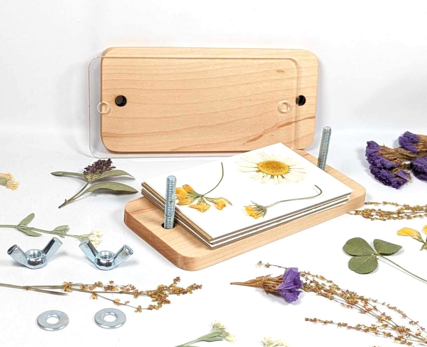 Hardwood Pocket Flower Press With Acrylic Display | Gift For Nature Lover Or Traveler | 2" x 4"