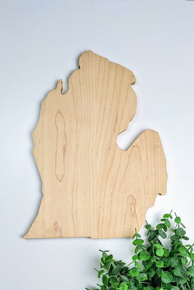 Michigan Cutting Board | Charcuterie Board For Meat And Cheese | Home Gift