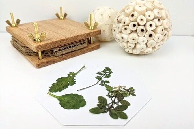 Mini Flower Press | Small Portable Flower Press Kit | Christmas Gift | Preserving Flowers From Wedding Day | Hardwood Foliage Press