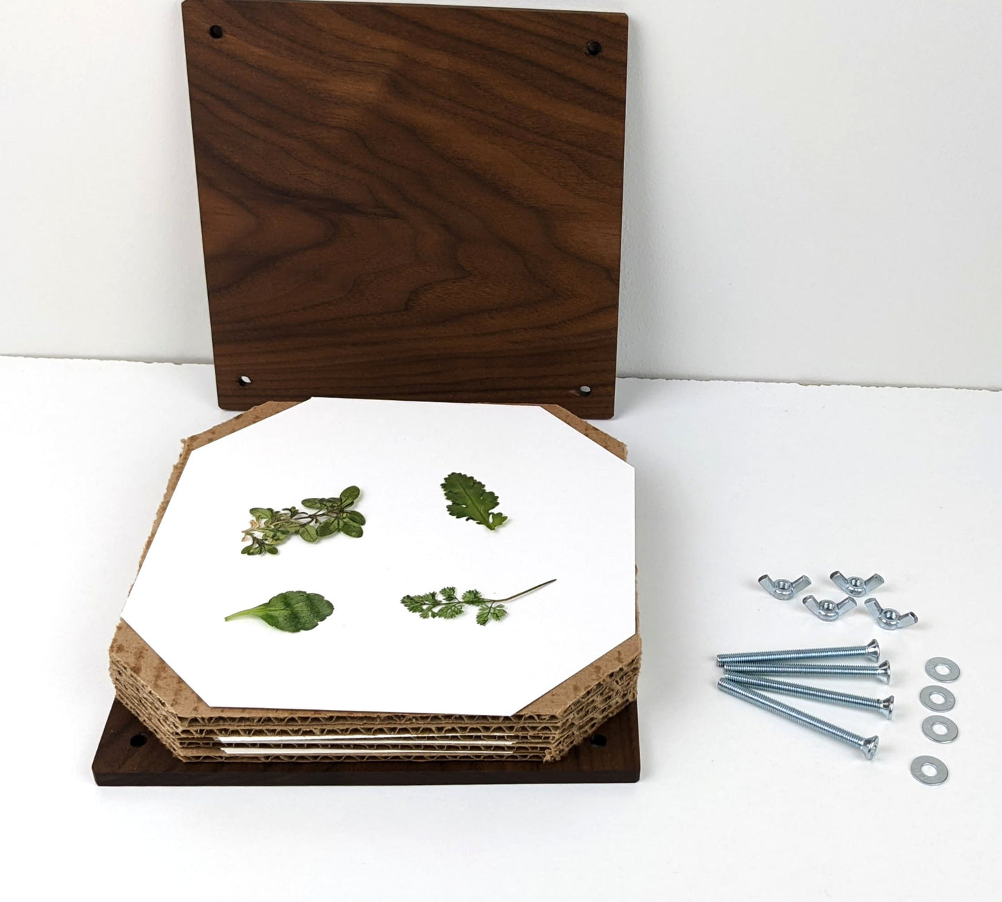 Hardwood Flower Press | Flower Press Kit | Summer Wedding Gift | Preserving Flowers From Wedding Day | Foliage Press