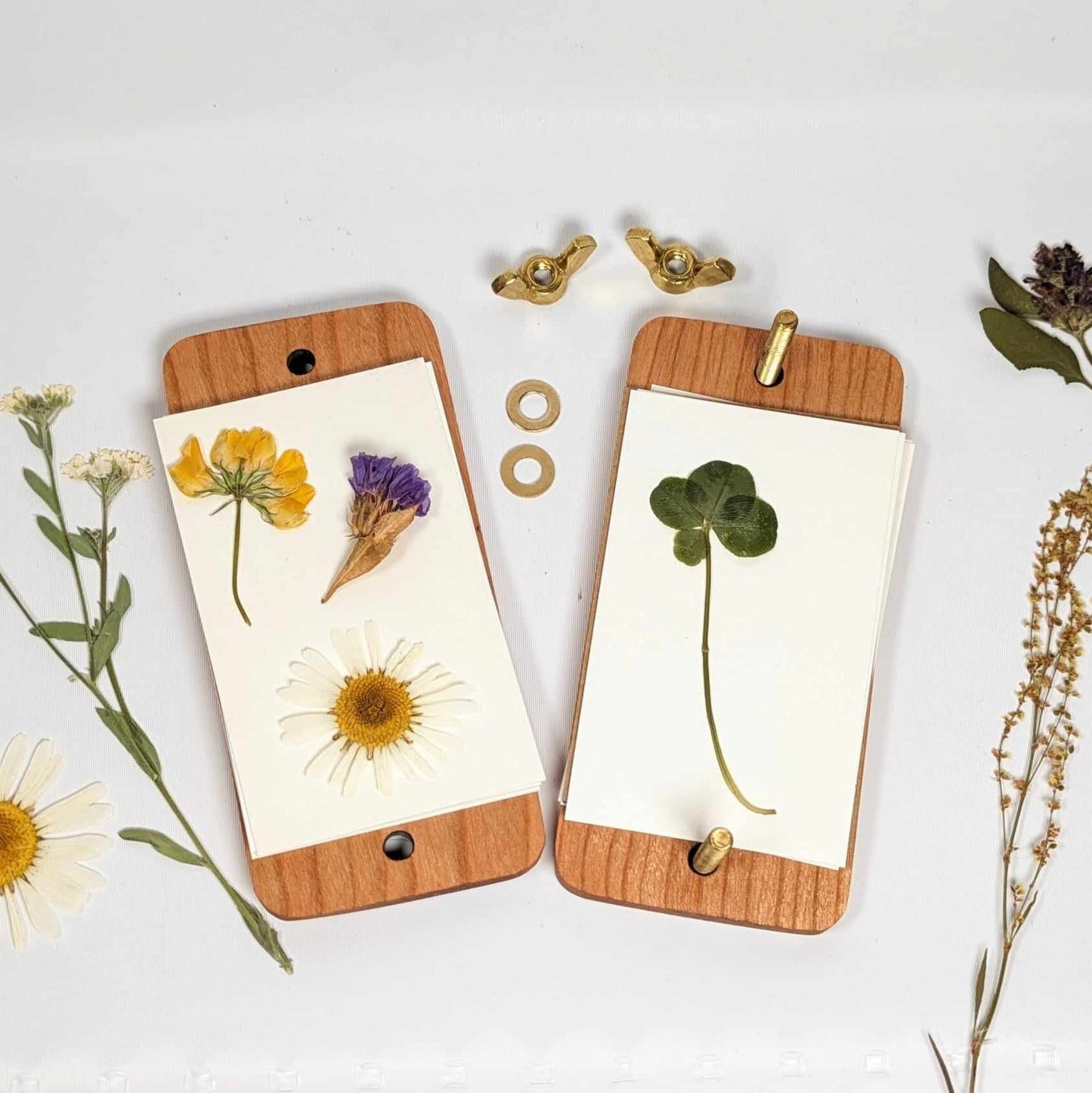 Small Portable Pocket Press | Gift For Plant Lover | Oklahoma State Flower | Clover Press | Flower Press Gift | Indian Paintbrush | 2" x 4"