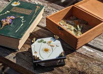 Black Mini Flower Press With Acrylic Display | (2x4)(4x4)