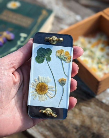 Black Mini Flower Press With Acrylic Display | (2x4)(4x4)