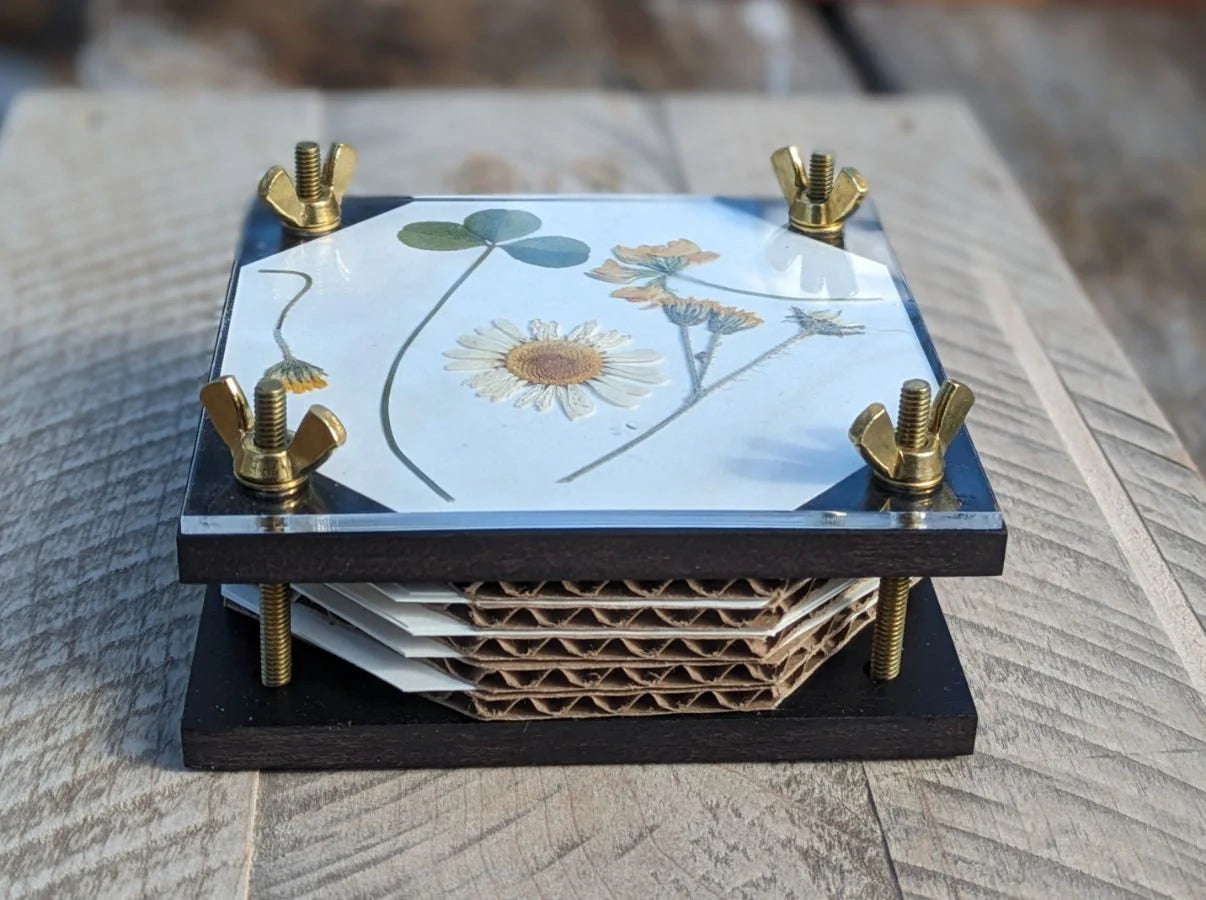 Black Mini Flower Press With Acrylic Display | (2x4)(4x4)