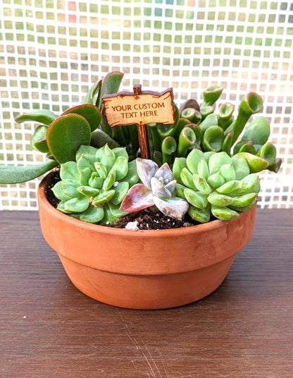 Gift For Plant Lover | Custom Sign For House Plant | Small Garden Sign | Pollinator Garden | Fairy Garden Accessory | Custom Diorama Sign