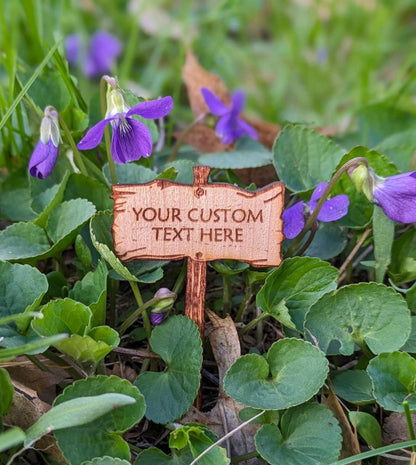 Gift For Plant Lover | Custom Sign For House Plant | Small Garden Sign | Pollinator Garden | Fairy Garden Accessory | Custom Diorama Sign