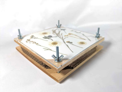 Flower Press | Flower Press Kit | Summer Wedding Gift | Preserving Flowers From Wedding Day | Flower Press With Acrylic Display | 7" x 7"