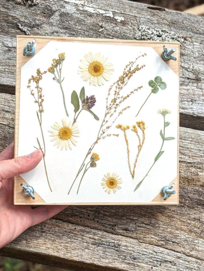 Flower Press | Flower Press Kit | Summer Wedding Gift | Preserving Flowers From Wedding Day | Flower Press With Acrylic Display | 7" x 7"