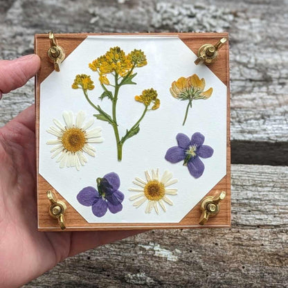 Mini Flower Press With Acrylic Display | Small Portable Press | Gift For Plant Lover | 4" x 4"