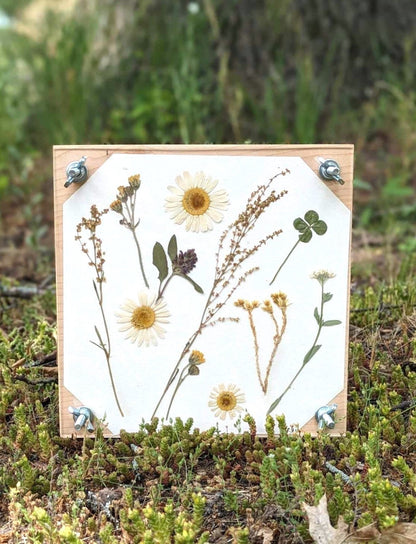 Flower Press | Flower Press Kit | Summer Wedding Gift | Preserving Flowers From Wedding Day | Flower Press With Acrylic Display | 7" x 7"