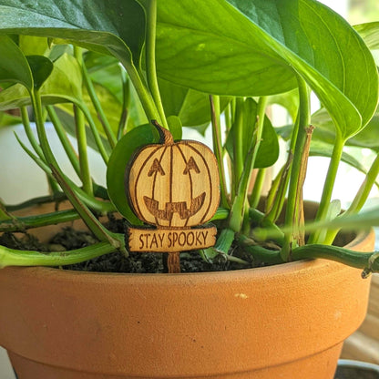 Stay Spooky Wooden Plant Sign: Halloween Decor
