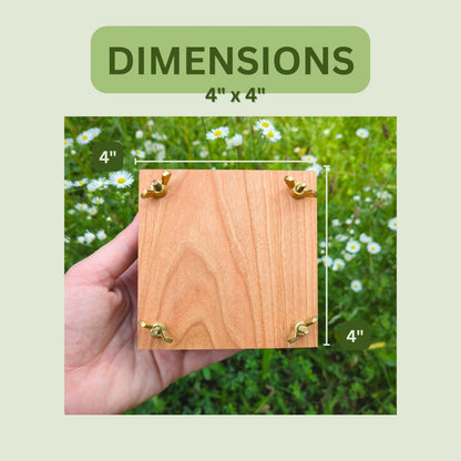 Mini Flower Press | Portable Flower Press | Christmas Gift For Nature Lover| Preserving Flowers From Garden | Flower Press For Traveler