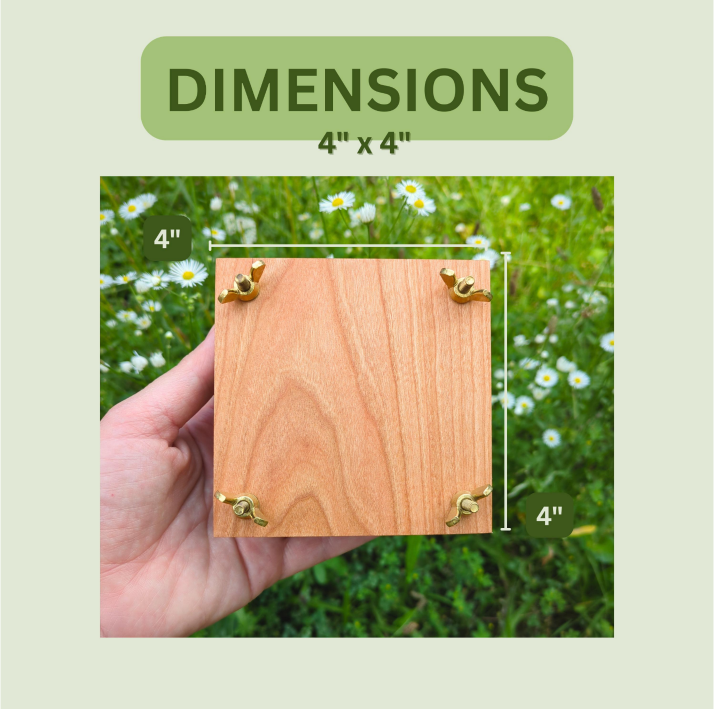 Wholesale Hardwood Mini Flower Presses Customized With Logo or Design (Minimum Order 8)