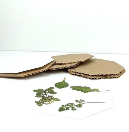 Mini Hardwood Flower Pressing Kit-Exotic African Padauk