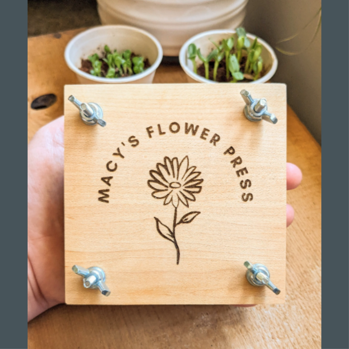 Wholesale Hardwood Mini Flower Presses Customized With Logo or Design (Minimum Order 8)