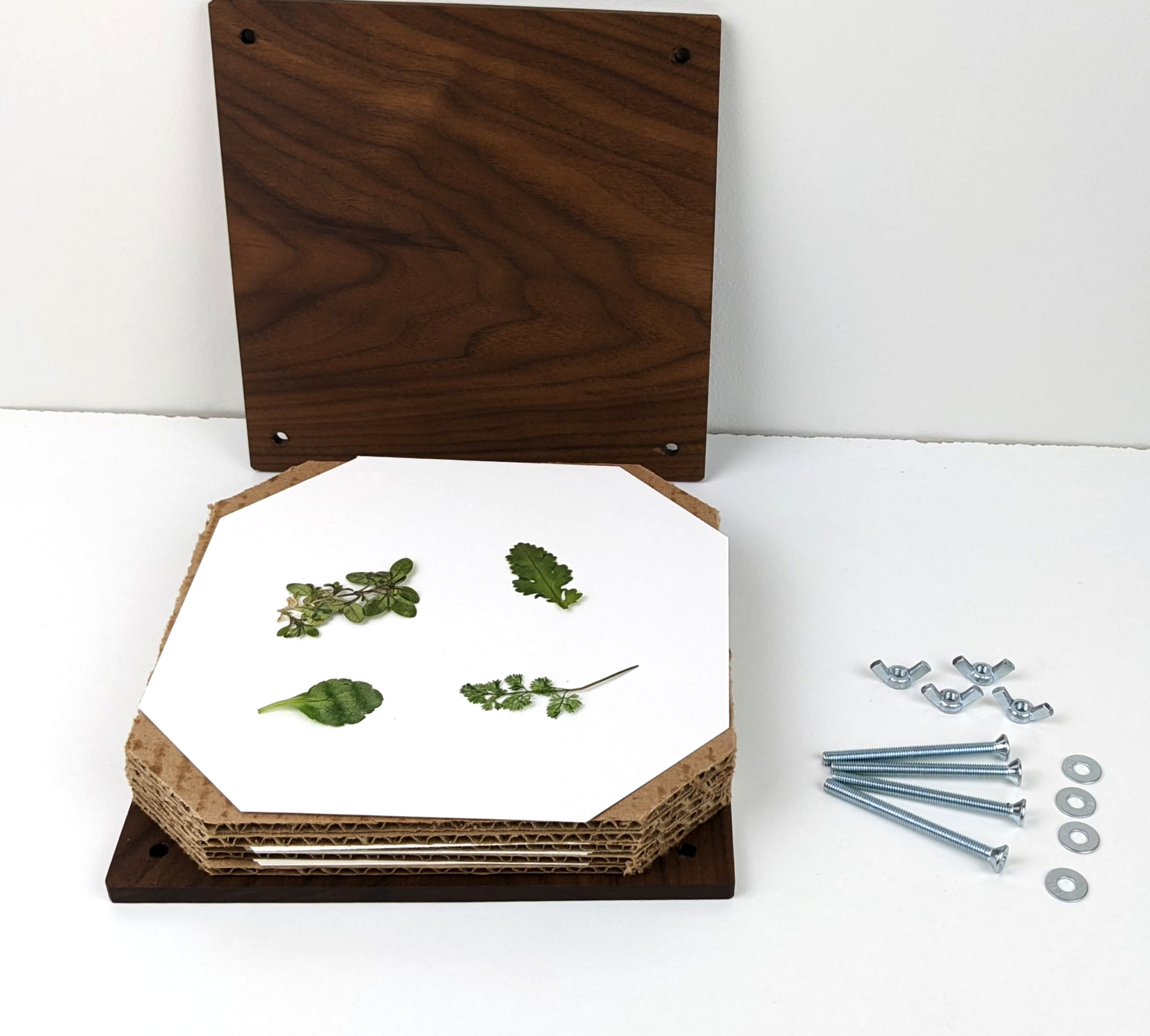 Wholesale - Custom Engraved 7"x7" Flower Presses