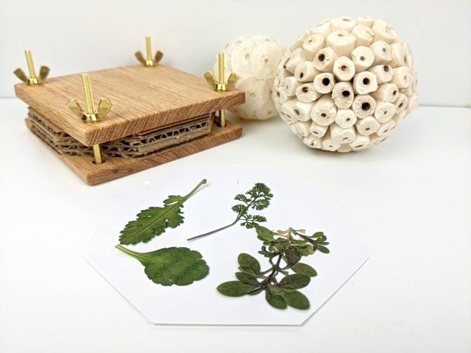 Mini Hardwood Flower Pressing Kit